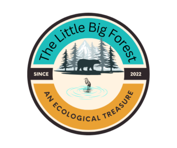 Now that it’s spring, save The Little Big Forest by donating.